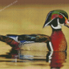 Wood Duck Diamond Paintings