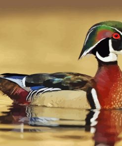 Wood Duck Diamond Paintings