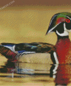 Wood Duck Diamond Paintings