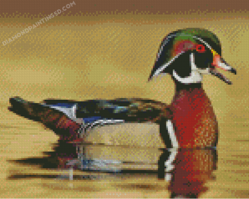 Wood Duck Diamond Paintings