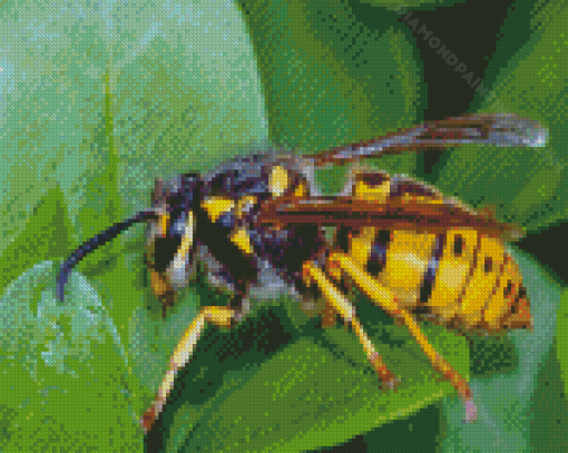 Yellowjacket On Plant Leaf Diamond Paintings