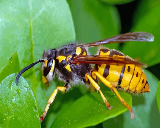 Yellowjacket On Plant Leaf Diamond Paintings