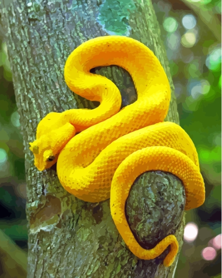 Yellow Snake Viper On Tree Diamond Paintings