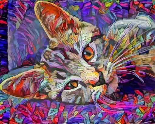 Abstract Tabby Kitten Diamond Paintings