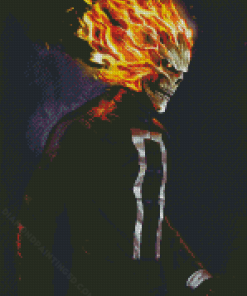 Aesthetic Ghost Rider Motorcycle Diamond Paintings