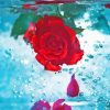 Aesthetic Rose Water Diamond Paintings