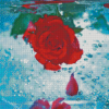 Aesthetic Rose Water Diamond Paintings