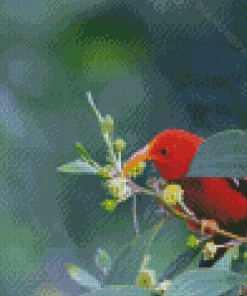 Aesthetic Hawaiian Honeycreeper Diamond Paintings