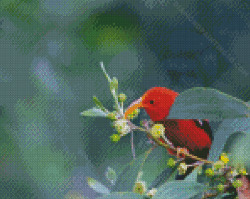 Aesthetic Hawaiian Honeycreeper Diamond Paintings