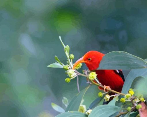 Aesthetic Hawaiian Honeycreeper Diamond Paintings