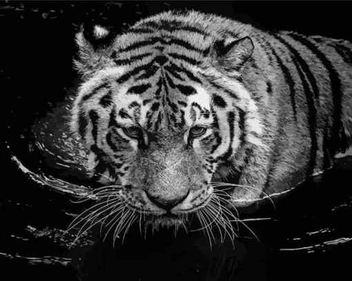 Black And White Tiger In The Water Diamond Paintings