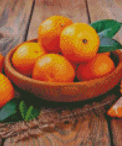 Citrus Orange Diamond Paintings