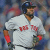 Cool David Ortiz Diamond Paintings