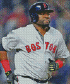 Cool David Ortiz Diamond Paintings