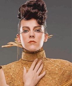 Johanna Mason Hunger Games Diamond Paintings