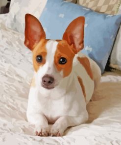 Cute Rat Terrier Diamond Paintings