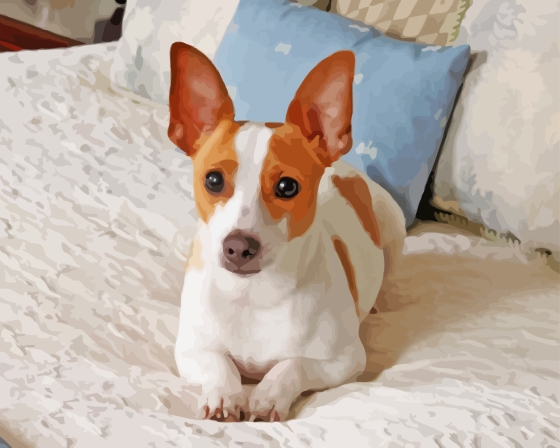 Cute Rat Terrier Diamond Paintings