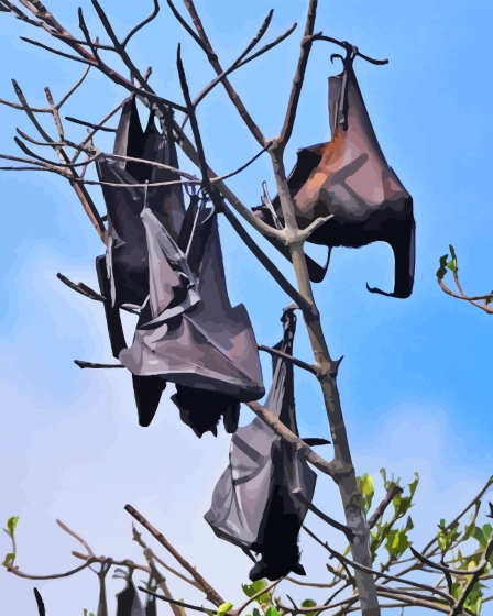 Giant Golden Crowned Flying Foxes Diamond Paintings