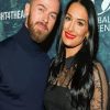 Nikki Bella And Artem Chigvintsev Diamond Paintings