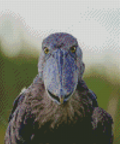 Shoebill Face Diamond Paintings