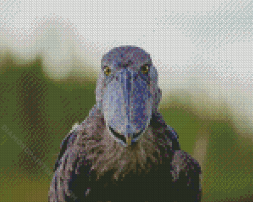 Shoebill Face Diamond Paintings