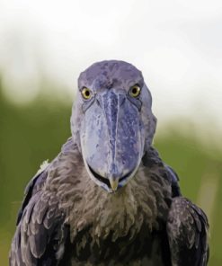 Shoebill Face Diamond Paintings