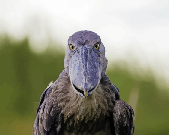 Shoebill Face Diamond Paintings