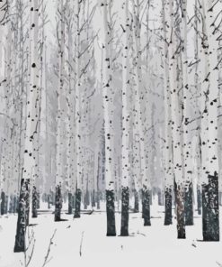 Snowy Winter Aspen Trees Diamond Paintings