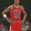 The Basketballer Scottie Pippen Diamond Paintings