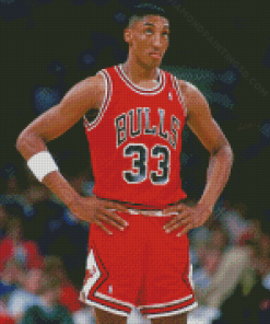 The Basketballer Scottie Pippen Diamond Paintings