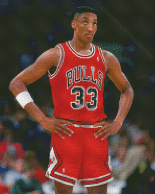 The Basketballer Scottie Pippen Diamond Paintings