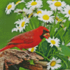 Daisies And Cardinal Diamond Painting