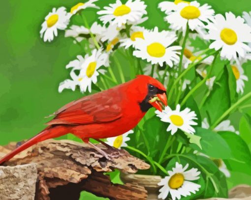 Daisies And Cardinal Diamond Painting