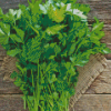 Garden Parsley Diamond Painting