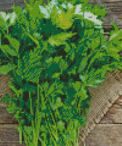 Garden Parsley Diamond Painting