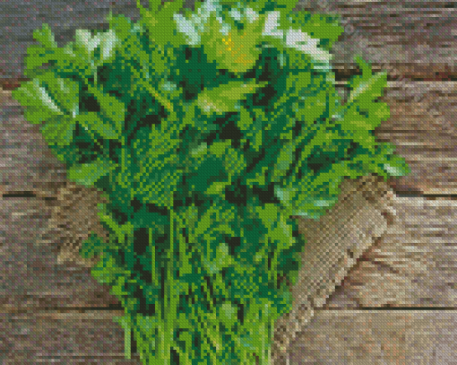 Garden Parsley Diamond Painting