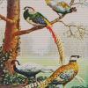 Silver Pheasant Diamond Painting