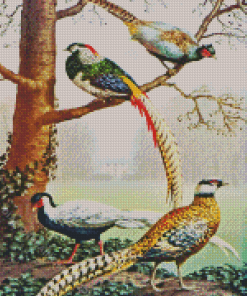 Silver Pheasant Diamond Painting