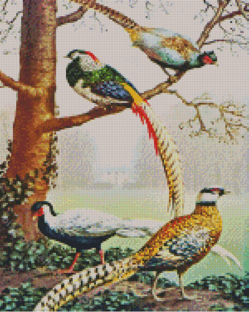 Silver Pheasant Diamond Painting