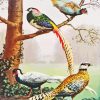 Silver Pheasant Diamond Painting