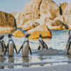 The Penguins On The Beach Diamond Painting