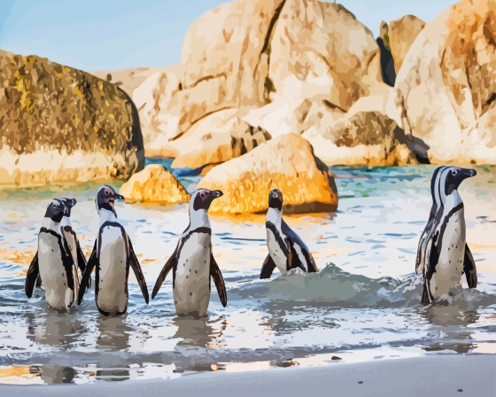 The Penguins On The Beach Diamond Painting