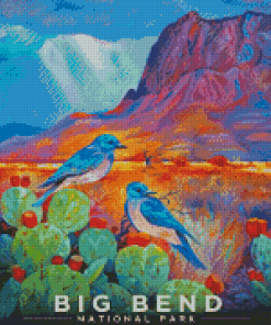 Big Bend Diamond Painting