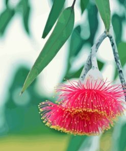 Pink Snow Gum Flowers Diamond Painting