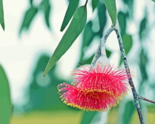 Pink Snow Gum Flowers Diamond Painting