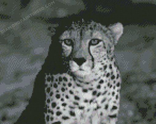 Black And White Cheetah Diamond Painting