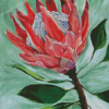 King Protea Diamond Painting