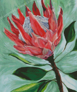 King Protea Diamond Painting