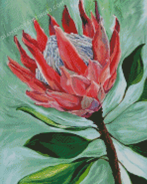 King Protea Diamond Painting