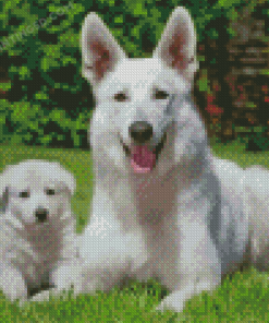 White German Shepherd Diamond Painting